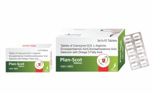 PLAN SCOT